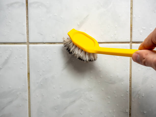 Best Office Mold Removal Services  in Laflin, PA
