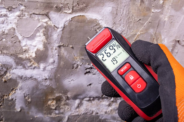 Trusted Laflin, PA Mold Removal Experts